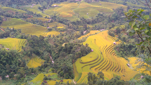 Lên Hoàng Su Phì ngắm kiệt tác ruộng bậc thang ảnh 2